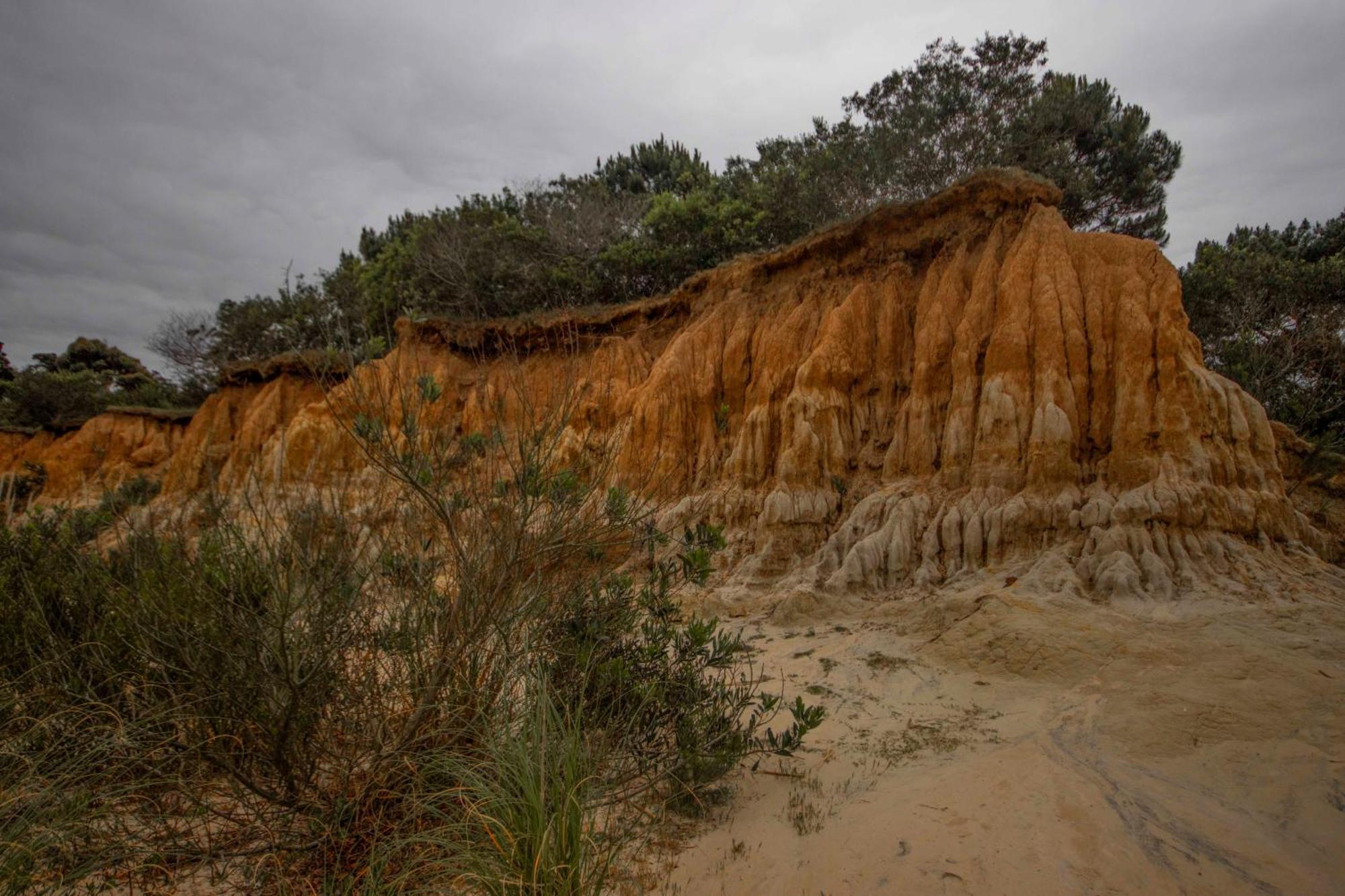 Biodiversidad La Pedrera Buitenkant foto